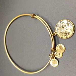 Alex and Ani Women's Gold Tone Bracelet - Tree Of Life (2013)